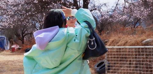 全员吃瓜大结局视频播放,揭秘幕后真相，精彩瞬间回顾