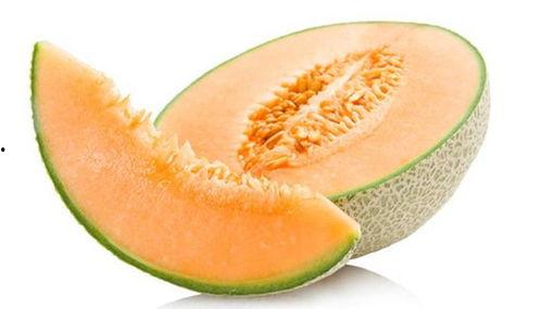 鱼儿吃哈密瓜好吗视频大全,趣味视频大盘点