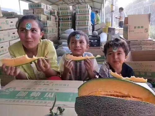 广西柳州视频吃瓜,探寻柳州特色小吃背后的故事