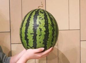 超级吃瓜的视频,带你领略热门视频背后的故事