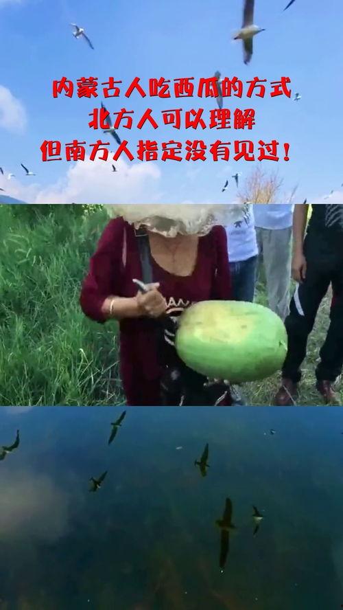 北方人看南方人吃瓜视频,揭秘南方人吃瓜的独特魅力