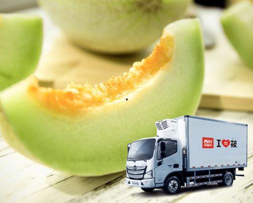 吃甜白兰瓜视频,揭秘甜白兰瓜的独特魅力