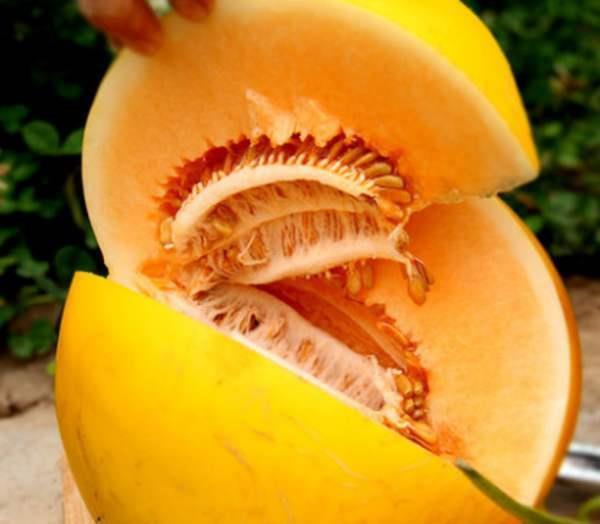 吃甜白兰瓜视频,揭秘甜白兰瓜的独特魅力