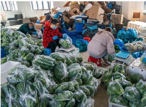 西大建行吃瓜视频,一场校园风波背后的真相