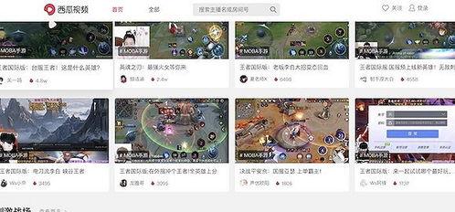 吃瓜直播间 解说视频,揭秘热门解说视频背后的故事