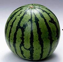 青海吃瓜最近的视频,揭秘当地特色美食背后的故事