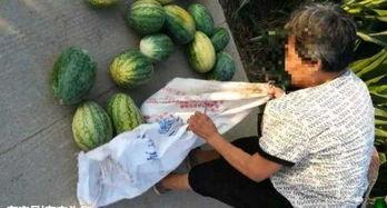 青海吃瓜最近的视频,揭秘当地特色美食背后的故事