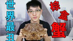 夏庄吃瓜事件视频完整版,揭秘背后真相与争议