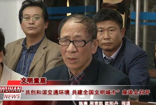 朝阳市吃瓜群众事件视频,网络围观下的社会现象解析