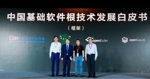 吃瓜技术哪家强原视频,一场视觉盛宴背后的制作秘籍