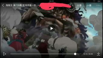 百兽被迫吃瓜视频,一场别开生面的吃瓜大赛