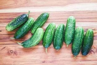 锤背瓜怎么吃最好吃视频,视频教你最佳食用方法