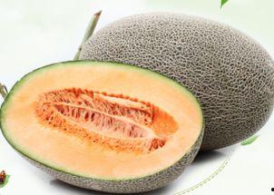 老美吃哈密瓜视频,品尝新疆美味