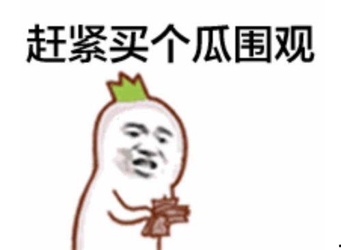 西瓜视频首席吃瓜群众,西瓜视频首席“吃瓜群众”带你领略短视频世界的酸甜苦辣