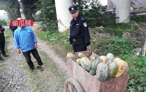 黄县吃瓜事件视频最新版,最新视频揭露惊人真相