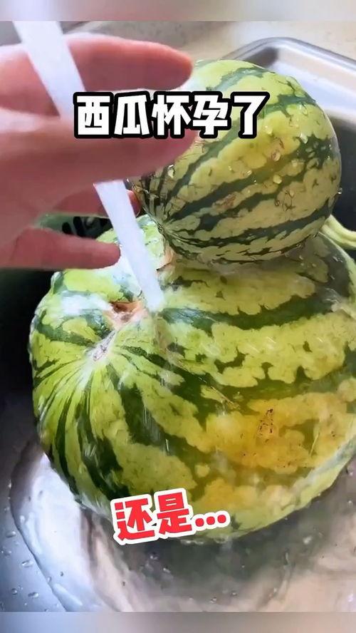 中国人吃瓜搞笑视频,中国网友吃瓜搞笑视频大盘点