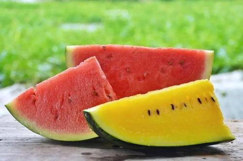 大瓜吃瓜视频大全,揭秘娱乐圈热点事件视频大全