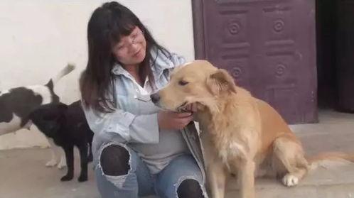 吃瓜少女养狗的视频,吃瓜少女的欢乐养宠生活