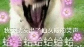 摸鱼吃瓜搞笑段子视频,笑料横生！摸鱼吃瓜搞笑段子视频大盘点