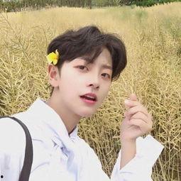 刘梦吃瓜拌饭老师视频,揭秘娱乐圈幕后故事