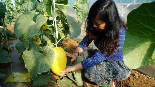 带你吃瓜缅北视频,带你走进带你吃瓜视频背后的真实世界