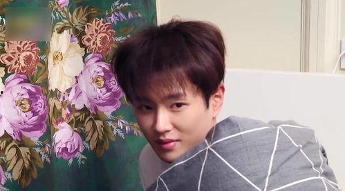 吃瓜直播范丞丞视频,揭秘娱乐圈幕后故事