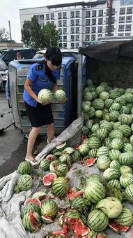 卖房子的销售吃瓜视频,一场吃瓜群众的围观盛宴