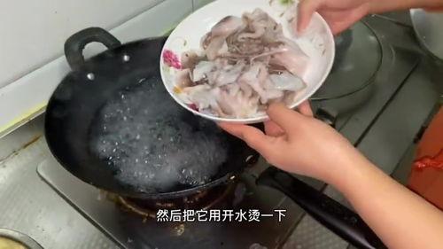 赶海小章吃八瓜鱼视频,趣味捕捞过程大揭秘