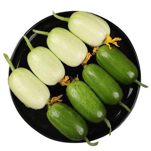 银贝瓜怎么吃最好吃视频,视频教你如何吃出最佳口感