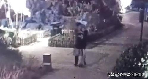 午夜吃瓜视频,揭秘娱乐圈幕后真相